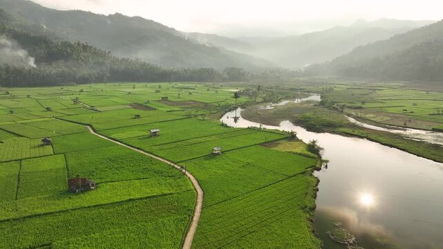 Aerial view of the lush green Munjungan Rice Fields with a winding river and small huts surrounded by misty mountains in Munjungan, East Java, Indonesia.