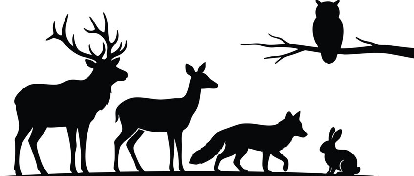 Wild Animal Silhouette Collection, African Wildlife and Forest Animals Black Vector Illustration on White Background