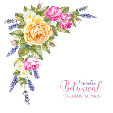 Vintage garland of blooming roses.