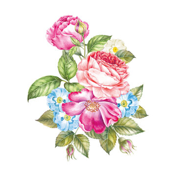 Bouquet of rose.