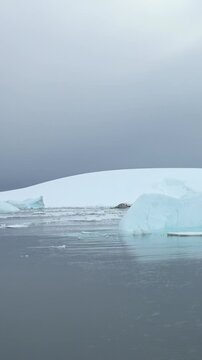 Vertical Video of Blue-White Icebergs Along a Distant Horizon. White and blue ice, rippling water and soft diffuse light reveal natural frozen texture and sculpted contours across the marine scene.