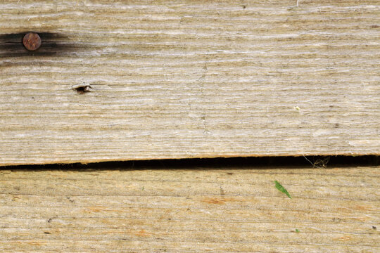 Weathered wooden planking - rustic texture