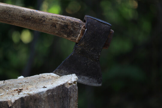 Axe cutting a log in forest setting