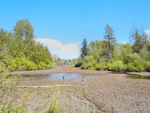 Fishtrap Creek Park during a spring season in Abbotsford, British Columbia, Canada