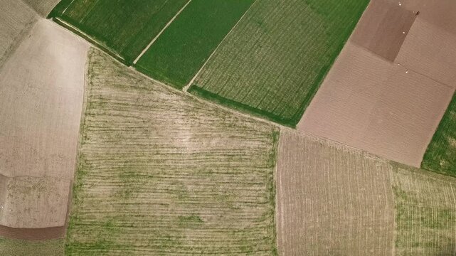 Aerial view of geometric agricultural fields with varying soil textures and crop patterns in Morocco.