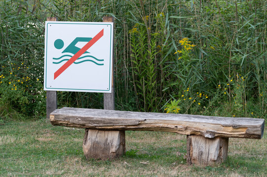 Wooden rustic bench in front of a no swimming sign next to a lake or pond. Outdoor recreation area in a public park with a white warning board prohibiting swimming, surrounded by green reeds and summe