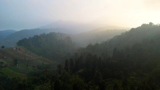 Aerial view of lush green misty mountains and dense forest under soft morning light in Sukabumi, West Java, Indonesia.