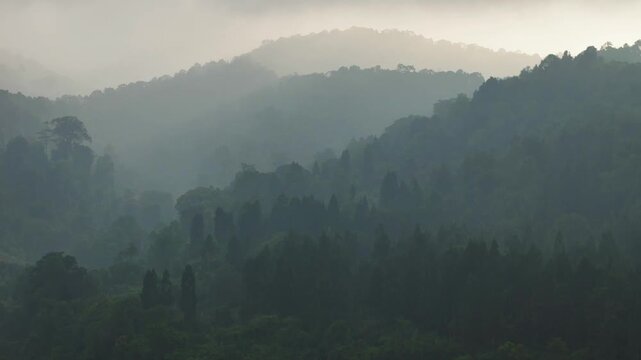 Aerial view of lush green mountains covered in morning mist and dense forest canopy in Sukabumi, West Java, Indonesia.
