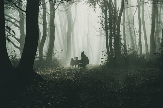 happy dog and owner in foggy forest