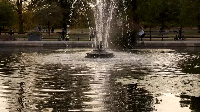 Slow upward camera movement from rippling water reflections to a fountain in Hyde Park, London, captured in 4K with warm late-afternoon light and autumn trees in the background.