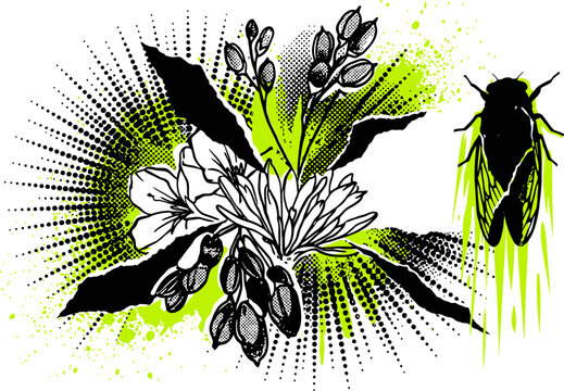 Grunge floral vector illustration with cicada insect, halftone botanical flower background, punk street art nature graphic