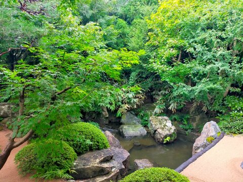 木陰に流れる水と石が美しい庭園の小径