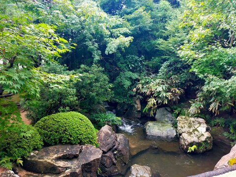 木々の間を流れる小川と苔むす日本庭園
