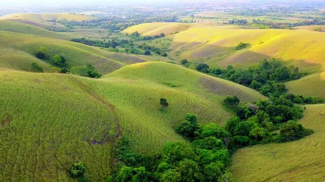 Aerial view of the rolling green hills of Bukit Wairinding with lush vegetation and grassy slopes in Nggaha Oriangu, East Nusa Tenggara, Indonesia.