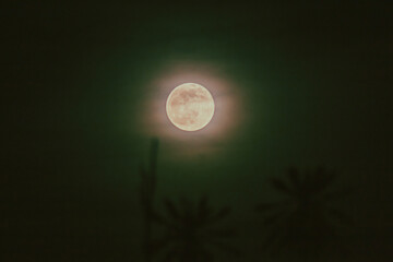 full moon in the night © ric