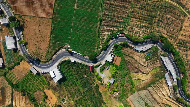 Aerial view of winding road through terraced agricultural fields and farmland in the mountains of Batu, East Java, Indonesia.