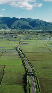 Drone Shot Green Rice Paddy Fields Rural Landscape Mountain Backdrop