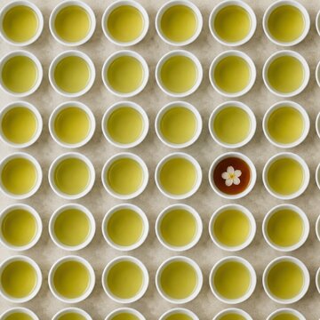 Single Flower Among Yellow Cylinders