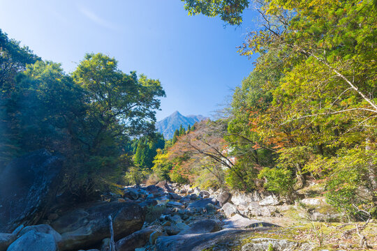 渓谷の紅葉（宮崎県延岡市鹿川渓谷）
