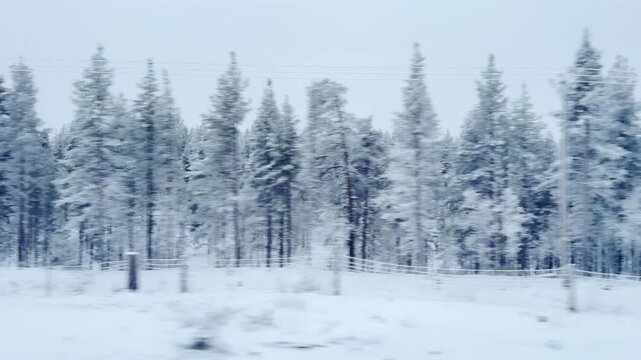 Winter Journey Through Snowy Lapland Forest From Train Or Bus POV