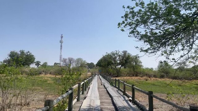 Drive over a wooden bridge over a branch of the Okavango River, Third Bridge, Okavango Delta, Moremi Game Reserve, Botswana