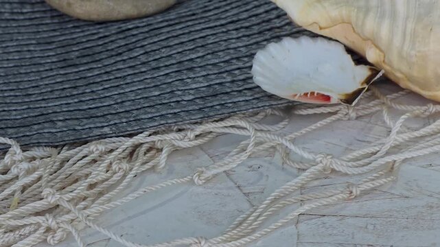 Close up shot of uramaki sushi rolls with prawns and avocado served in eco packaging with sea shells and pebbles at Festival Gastronomic 