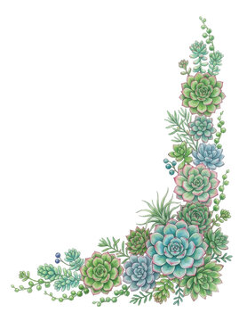 Corner Border Design of Assorted Succulent Plants.