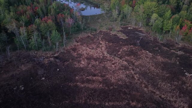 Drone flying over a recent wildfire area toward a small beaver pond