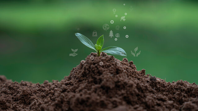 Concept featuring a green plant growing in soil, accompanied by icons representing clean, renewable future energy, well-being, and environmental sustainability.