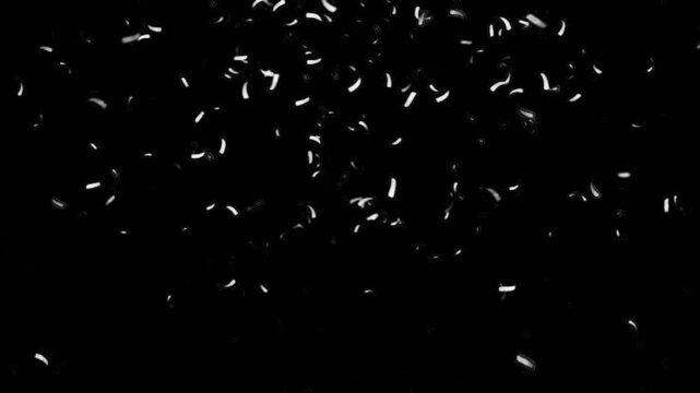 Small Explotion of Confetti on Black Background. Luma Matte Included.