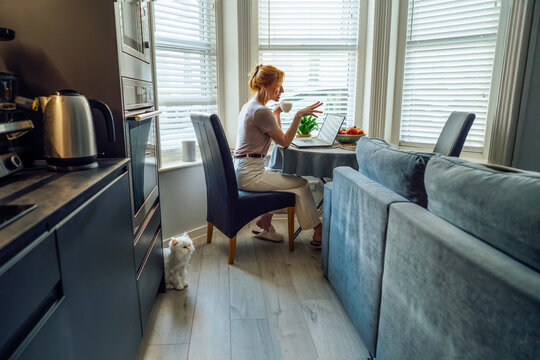 Middle aged woman has video conference call on laptop and drink coffee at kitchen table. Female entrepreneur working remotely, has online e-learning course at home. freelance concept. . Online Job.