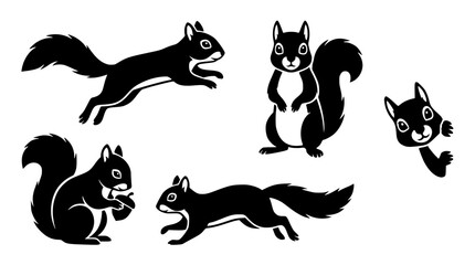 Fototapeta premium Cute squirrel silhouette collection vector graphic illustration design elements