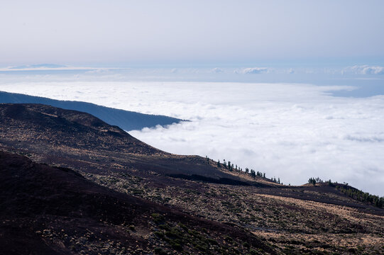 Dark volcanic slopes and scattered pines fall away into a white cloud inversion below Teide National Park. A reminder of scale for travel campaigns about getting above it all.