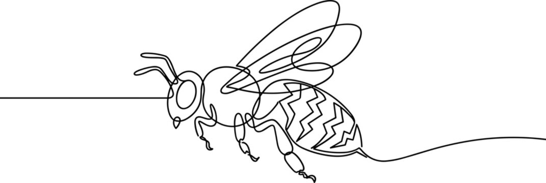 minimalist one line art drawing of a bee isolated on white background.