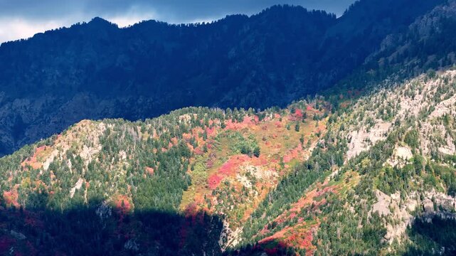 Aerial view of cloud shadows flowing over the Alpine Loop Scenic Byway in a time lapse over the Wasatch Range and vibrant autumn foliage with aspens and evergreens in Utah County, Utah, United States.