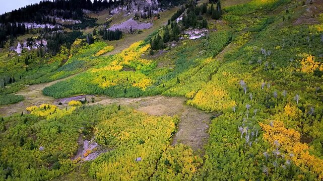 Aerial view of Alpine Loop Scenic Byway in the Wasatch Range with vibrant autumn foliage, aspens, and evergreens in Utah County, Utah, United States.