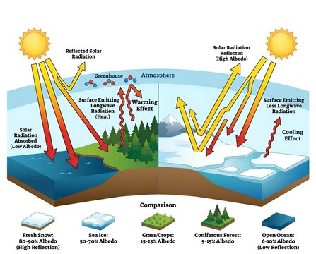 Scientific Diagram Explaining the Earth Albedo Effect and Surface Solar Radiation Reflectivity Comparison Between Different Land Cover Types