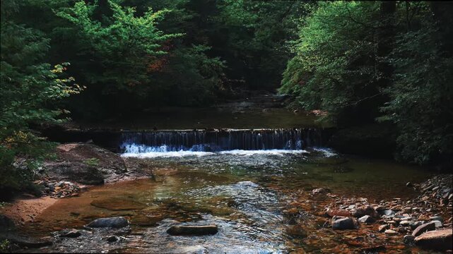 長野県の赤沢自然休養林の清流