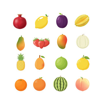 Set of 16 tropical and citrus fruit icons in flat vector style, arranged in a grid on white background