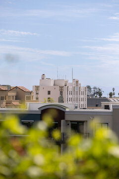 Afternoon sun shines on the heart of historic downtown Santa Cruz, California, USA.