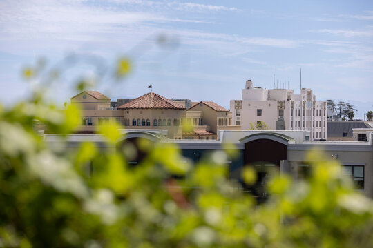 Afternoon sun shines on the heart of historic downtown Santa Cruz, California, USA.