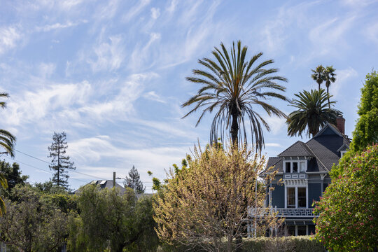 Cloudy afternoon spring time view of a historic neighborhood in downtown Santa Cruz, California, USA.