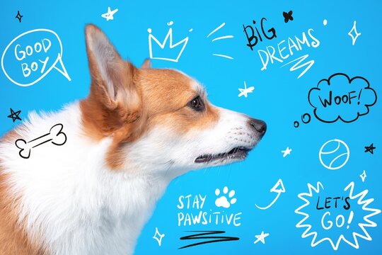 A corgi dog in side profile poses against a blue backdrop surrounded by hand drawn doodles including speech bubbles, a crown, and a bone, a lighthearted concept of pet positivity and motivation.