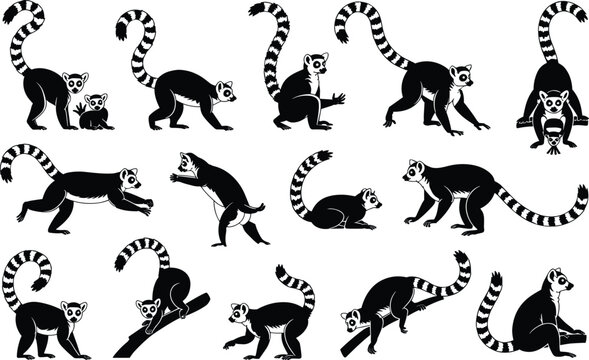 Lemur vector silhouettes set, ring tailed madagascar animal icons for design