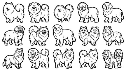 Obraz premium Set of fluffy dog breeds in line art style isolated on white background for veterinary design