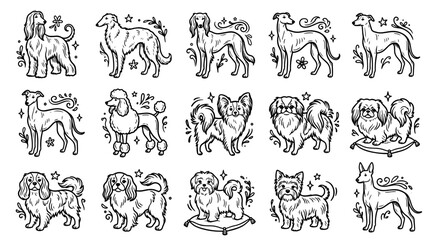 Obraz premium Hand drawn dog breeds doodle set featuring various canine characters in a minimalist sketch style