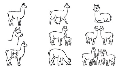Llama vector line art set, minimal alpaca outline icon collection, cute llama poses and family illustrations, black and white graphic design elements © Fakhra