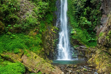A scenic waterfall cascading into a clear pool surrounded by lush green vegetation and moss in the rainforest of Ecuador, © Miroslav Srb