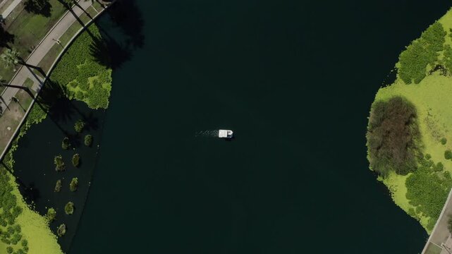 Swan Pedal Boat Circling on Echo Park Lake Aerial View