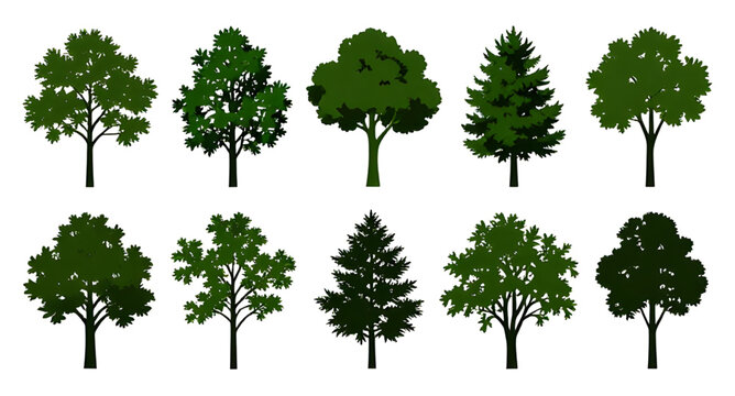 Botanical Tree Silhouettes Vector Graphic Isolated White Background Black Forest Plant Icons   